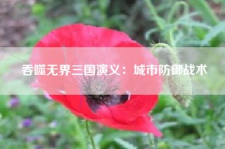 吞噬无界三国演义：城市防御战术
