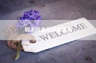 极无双金币获取策略