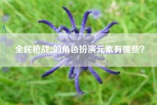 全民枪战2的角色扮演元素有哪些？