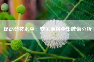 提高竞技水平：欢乐麻将全集牌谱分析