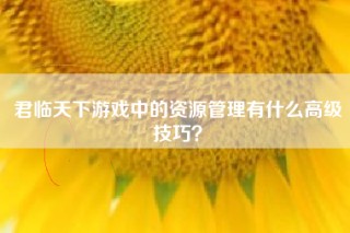 君临天下游戏中的资源管理有什么高级技巧？