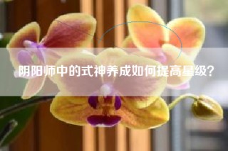 阴阳师中的式神养成如何提高星级？