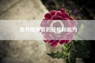 提升指挥官的技能和能力