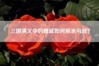 三国演义中的魏延如何斩杀马超？