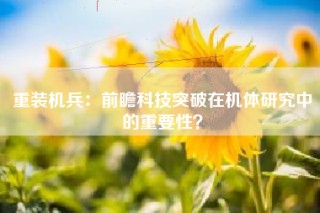 重装机兵：前瞻科技突破在机体研究中的重要性？