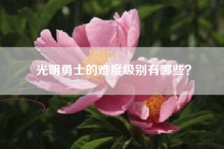 光明勇士的难度级别有哪些？