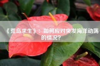《荒岛求生》：如何应对突发海洋动荡的情况？