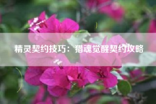 精灵契约技巧：猎魂觉醒契约攻略
