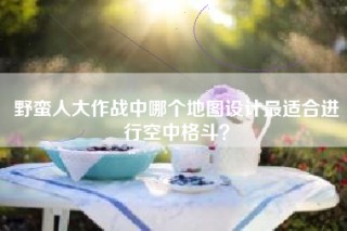 野蛮人大作战中哪个地图设计最适合进行空中格斗？