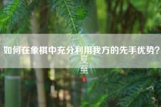 如何在象棋中充分利用我方的先手优势？