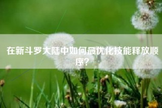 在新斗罗大陆中如何最优化技能释放顺序？