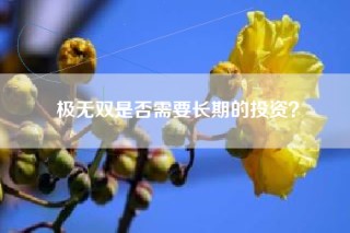极无双是否需要长期的投资？
