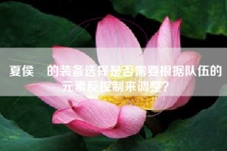 夏侯惇的装备选择是否需要根据队伍的元素反控制来调整？