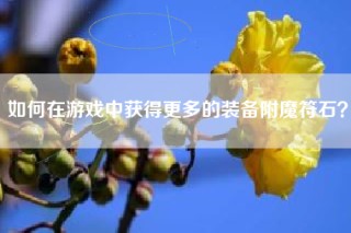 如何在游戏中获得更多的装备附魔符石？