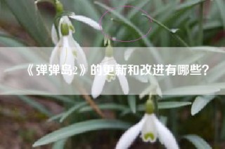 《弹弹岛2》的更新和改进有哪些？