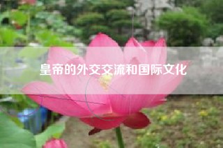 皇帝的外交交流和国际文化