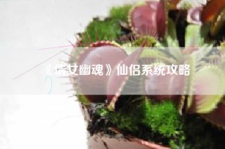 《倩女幽魂》仙侣系统攻略