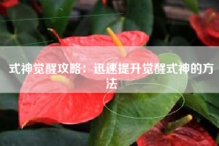 式神觉醒攻略：迅速提升觉醒式神的方法