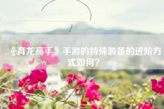《育龙高手》手游的特殊装备的进阶方式如何？
