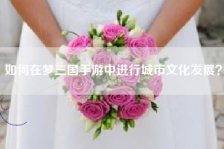 如何在梦三国手游中进行城市文化发展？