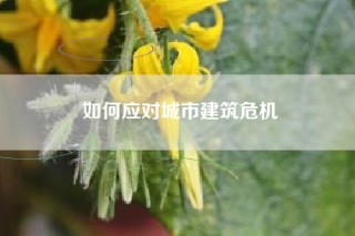 如何应对城市建筑危机