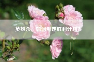 英雄杀：如何制定胜利计划？