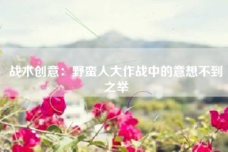 战术创意：野蛮人大作战中的意想不到之举
