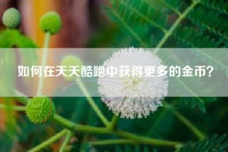 如何在天天酷跑中获得更多的金币？