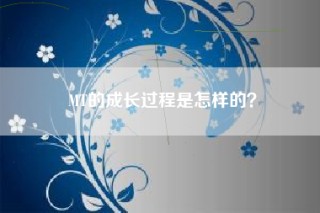 MT的成长过程是怎样的？