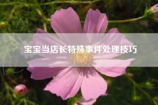 宝宝当店长特殊事件处理技巧