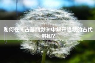 如何在《古墓丽影》中解开隐藏的古代封印？