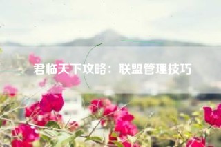 君临天下攻略：联盟管理技巧