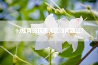 QQ炫舞的玩家交流如何建立？