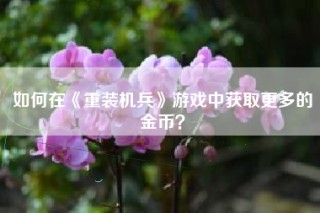 如何在《重装机兵》游戏中获取更多的金币？