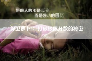 保卫萝卜2：打破极限分数的秘密