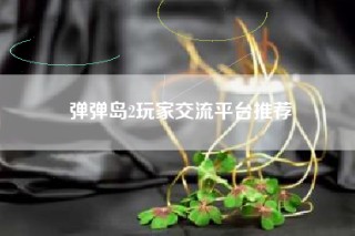 弹弹岛2玩家交流平台推荐