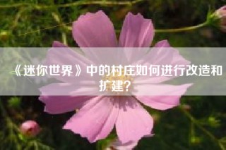 《迷你世界》中的村庄如何进行改造和扩建？