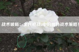 战术破局：全民枪战2中的独特战术策略！