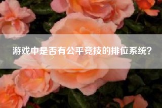 游戏中是否有公平竞技的排位系统？