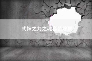 式神之力之魂套装效果