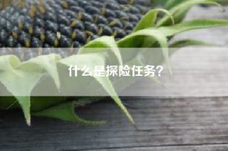 什么是探险任务？