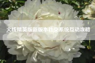 火线精英版新版本社交系统互动攻略