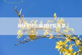高手们的JJ麻将经验分享