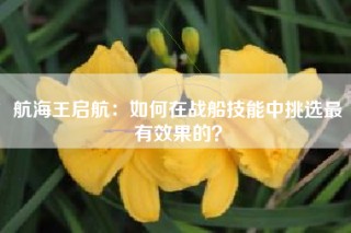 航海王启航：如何在战船技能中挑选最有效果的？