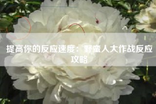 提高你的反应速度：野蛮人大作战反应攻略