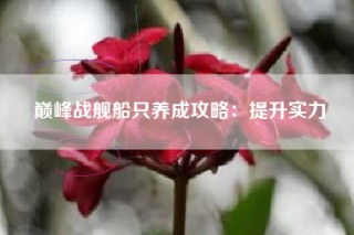 巅峰战舰船只养成攻略：提升实力
