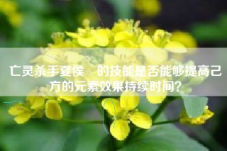 亡灵杀手夏侯惇的技能是否能够提高己方的元素效果持续时间？