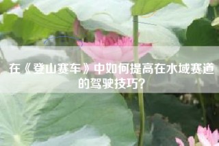 在《登山赛车》中如何提高在水域赛道的驾驶技巧？