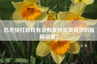 恐龙快打游戏有没有支持实景音效的高级设置？