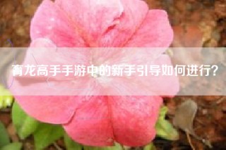 育龙高手手游中的新手引导如何进行？